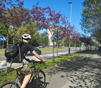 Od poniedziałku miejskie rowery elektryczne będą znowu dostępne