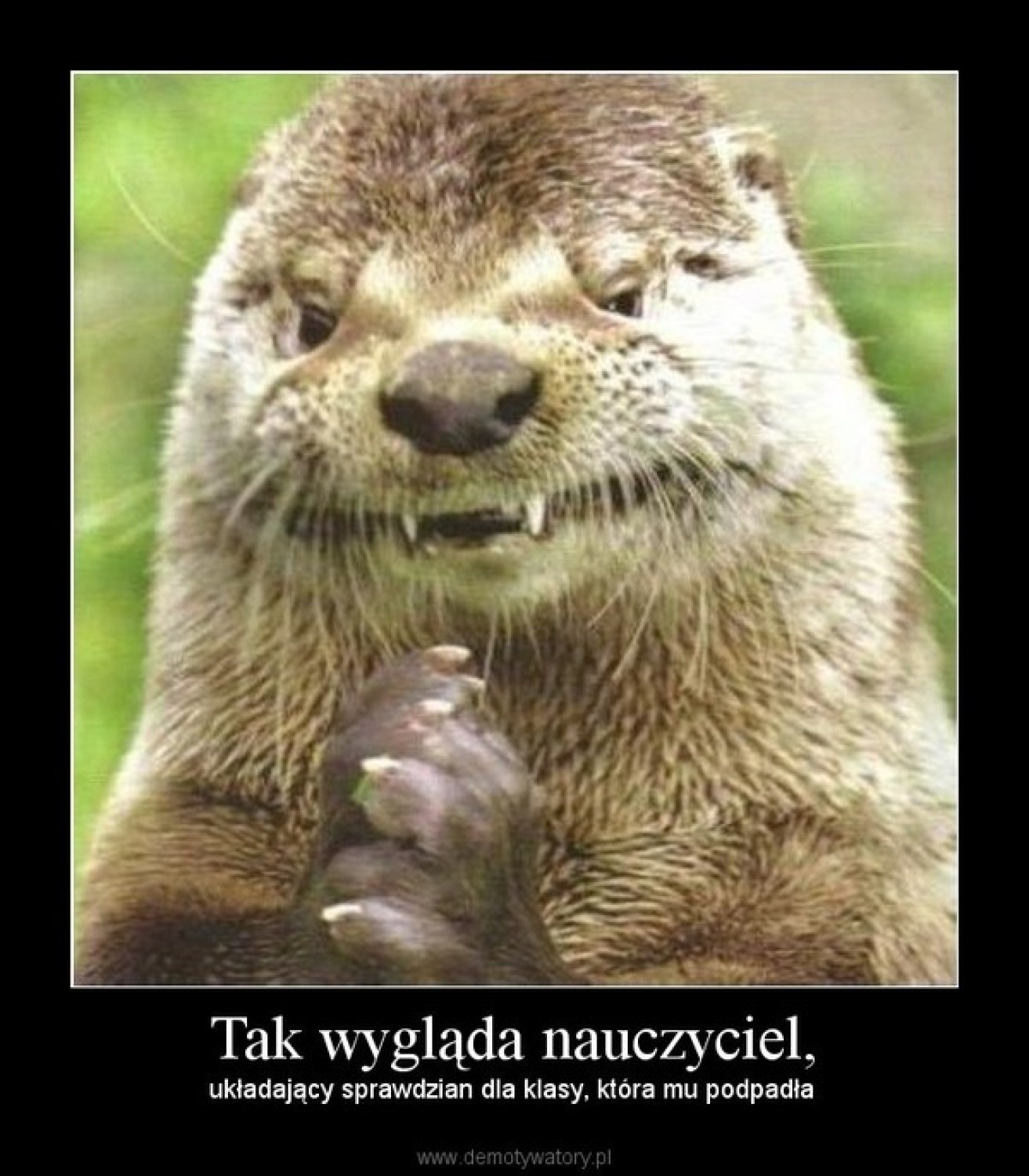 Śmieszne obrazki na Dzień Nauczyciela 2019Przejdź do kolejnego obrazka --->