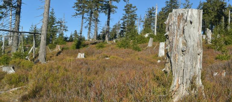 Zdjęcie artykułu z dnia 19-04-2026