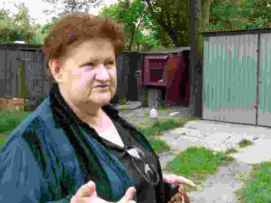 Topole przy Sulejowskiej w Piotrkowie wycięte