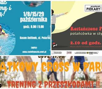 Legnica i okolice na weekend 30.09-02.10 Jakie atrakcje i imprezy się szykują?