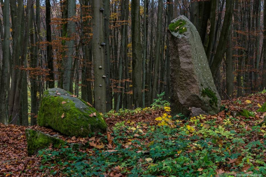 Cmentarz pseudo megalityczny w Markowie