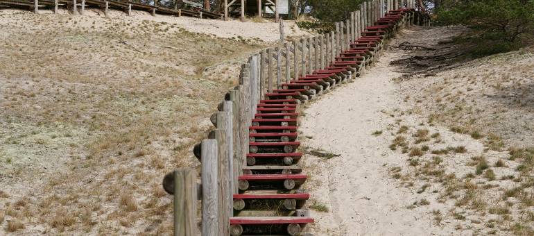 Zdjęcie artykułu z dnia 24-12-2025