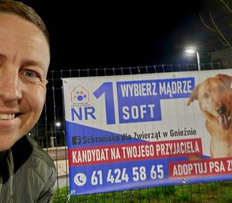 Niezwykła kampania ruszyła w Gnieźnie. Na PSIjaciela kandydują psy i koty 
