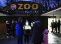 Wielka awaria w zoo w Poznaniu! Nowe Zoo jest zamknięte dla zwiedzających. Pawilony dogrzewane są piecykami, by ratować zwierzęta