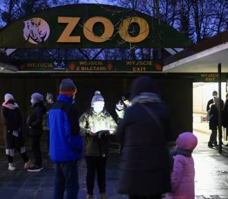 Wielka awaria w zoo w Poznaniu! Pawilony ze zwierzętami dogrzewane są piecykami