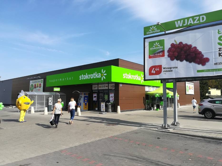 Jedna z „nowych" Stokrotek pojawiła się w czwartek przy al