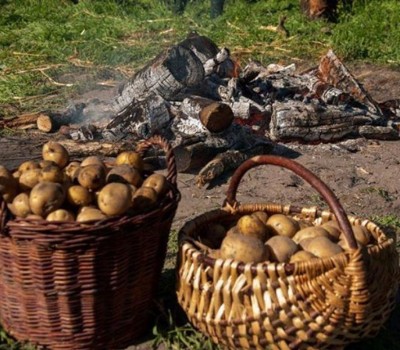 Festiwal Ziemniaka 2016 Muzeum Wsi Radomskiej Radom Naszemiastopl