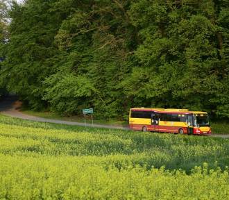 Nowoczesne autobusy zmienią oblicze podwrocławskich tras: co musisz o nich wiedzieć?