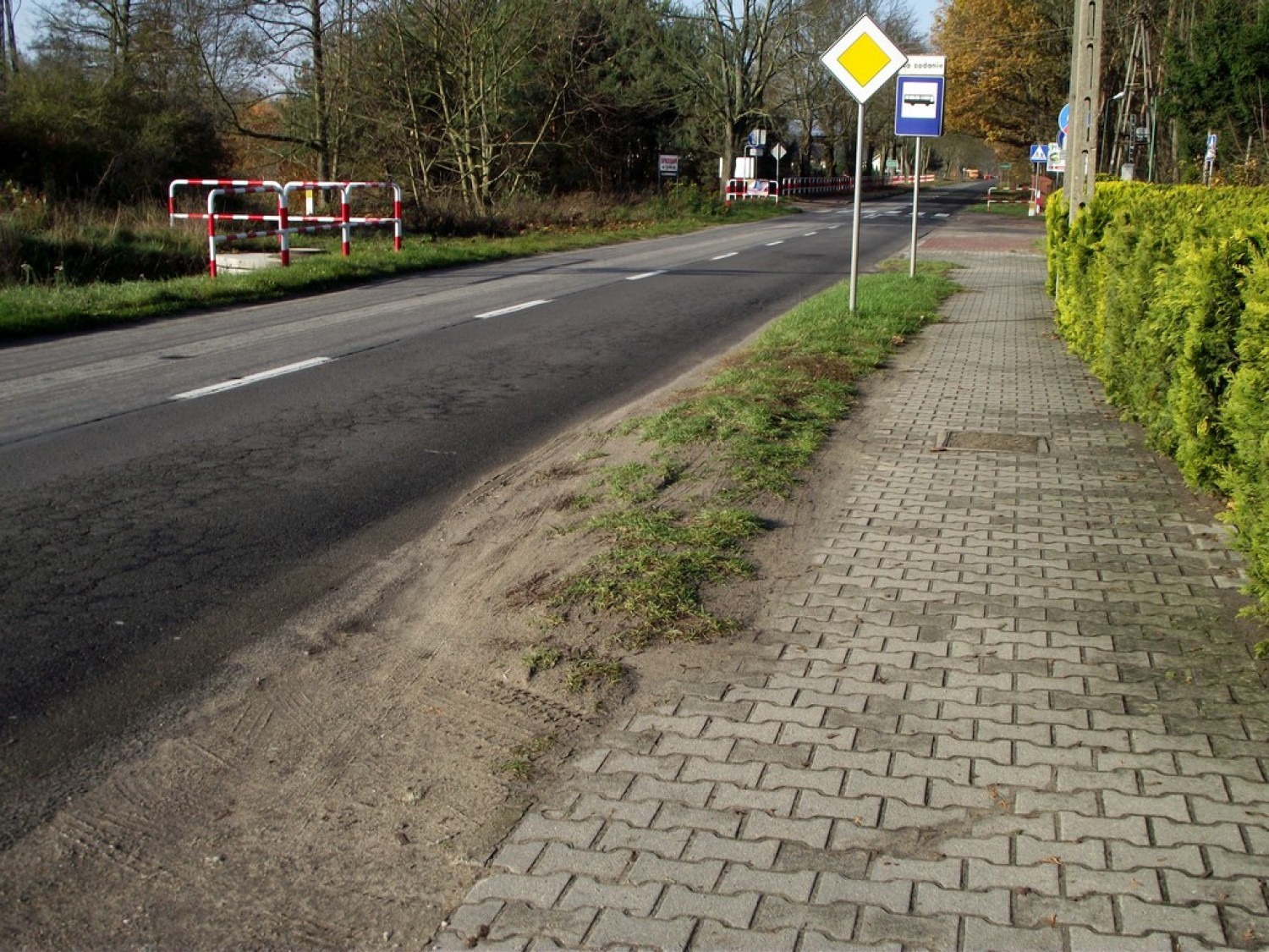 Tu zajdzie zmiana. Ruszyła budowa ściezki rowerowej Zbąszyń - Strzyżewo. Listopad 2019