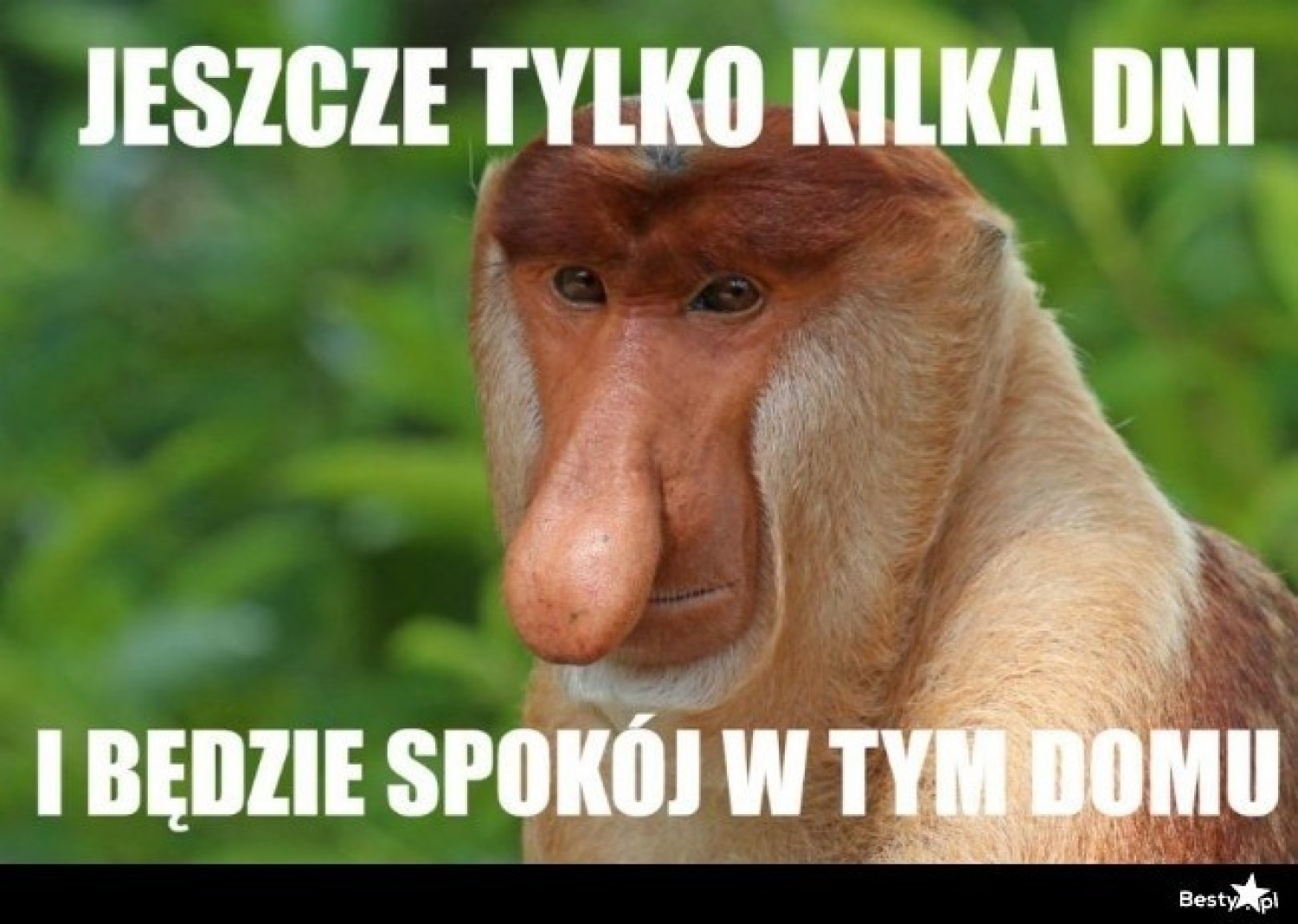 Koniec wakacji w MEMACH