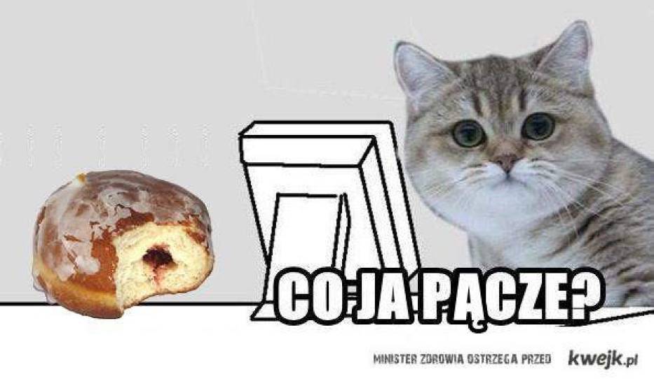 Tłusty czwartek 2016. Najlepsze memy pączki, śmieszne obrazki - NaszeMiasto.pl