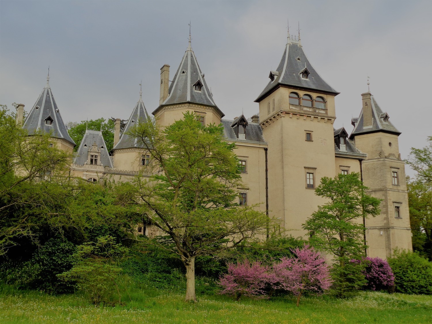 Gołuchowski park wiosennie. Zobacz, jak pięknie się prezentuje