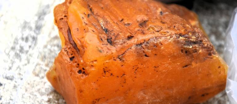 Zdjęcie artykułu z dnia 05-03-2026