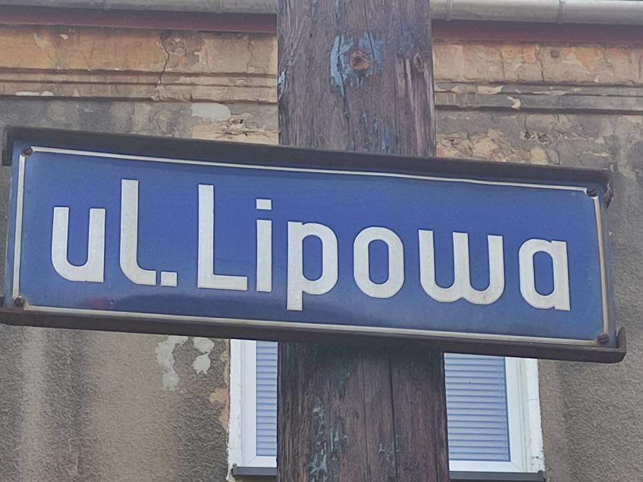 Najkrótsze ulice w Wałbrzychu: Ulica Lipowa - spokojna i z piękną... sosną. Wiecie gdzie to? Zdjęcia 