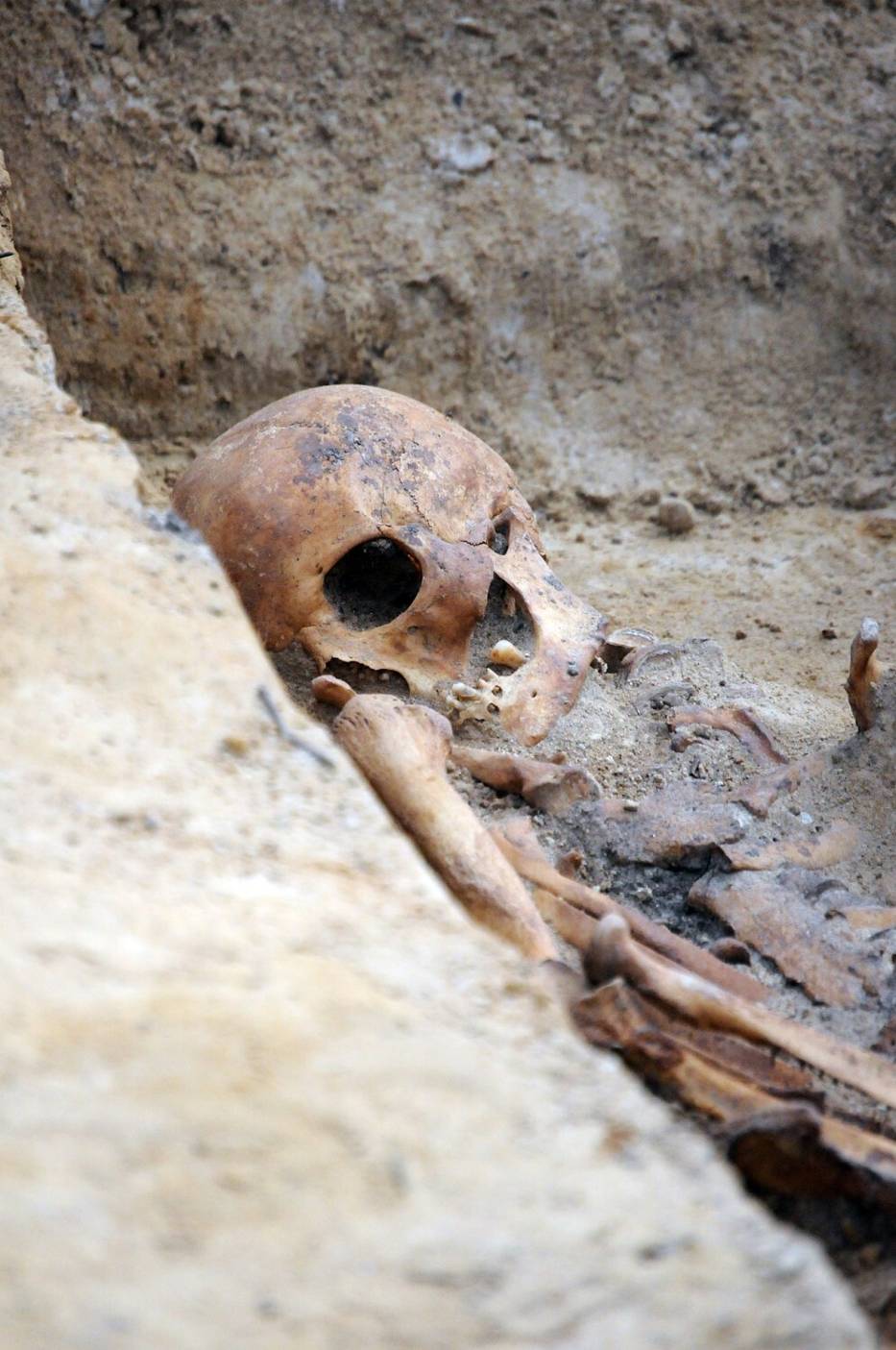 Szczątki znalezione podczas budowy centrum handlowego przy ul. Kilińskiego zostały pochowane