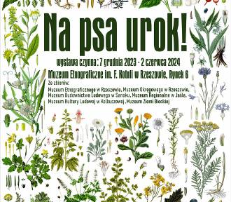 „Na psa urok!” - zobacz wystawę prezentującą tajniki tradycyjnej medycyny ludowej 