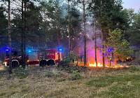 Plaga pożarów pod Toruniem. W gminie Wielka Nieszawka tylko w sierpniu aż czternaście