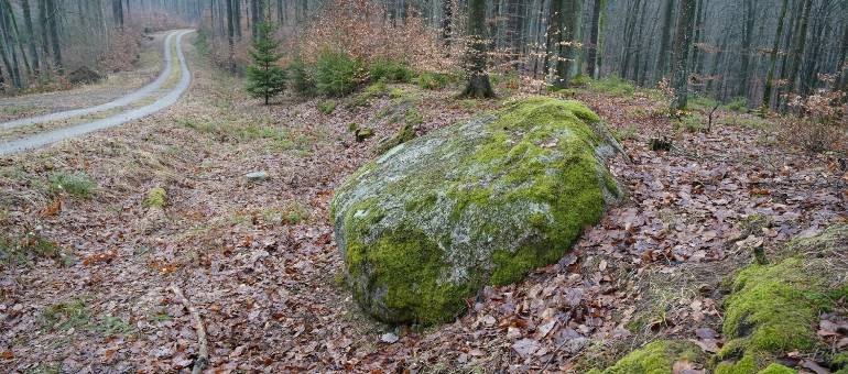 Zdjęcie artykułu z dnia 09-11-2025