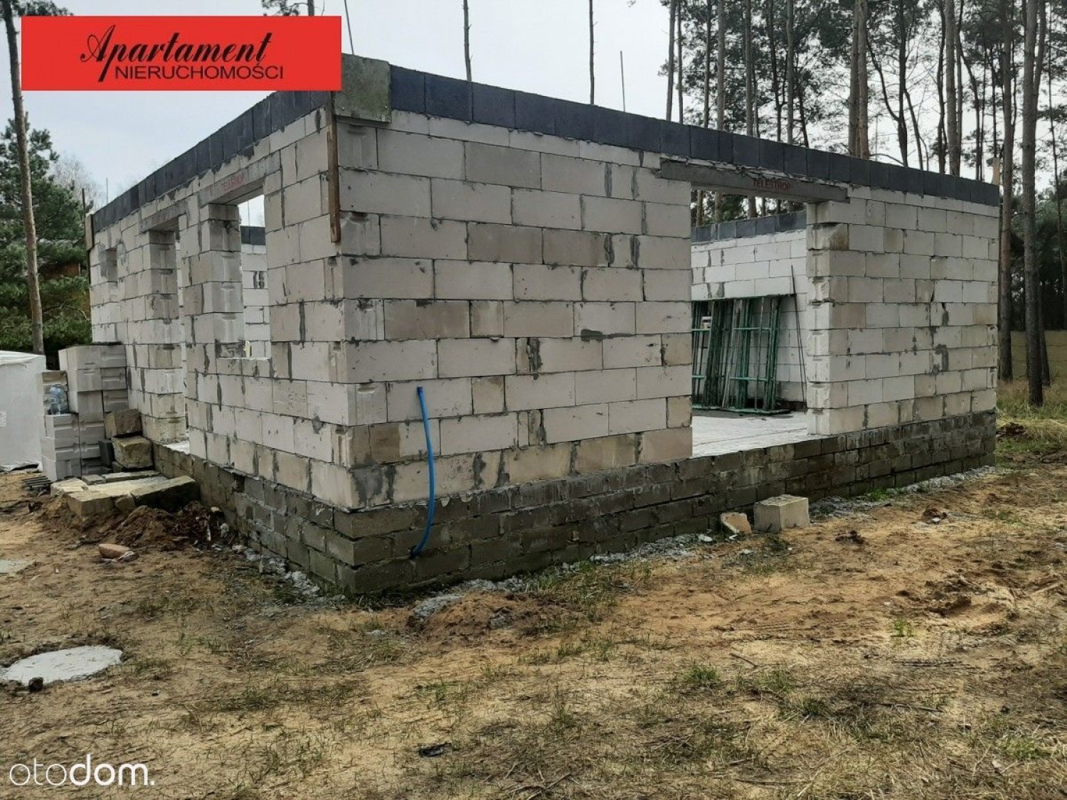 Rozalinowo (gmina Gąsawa)