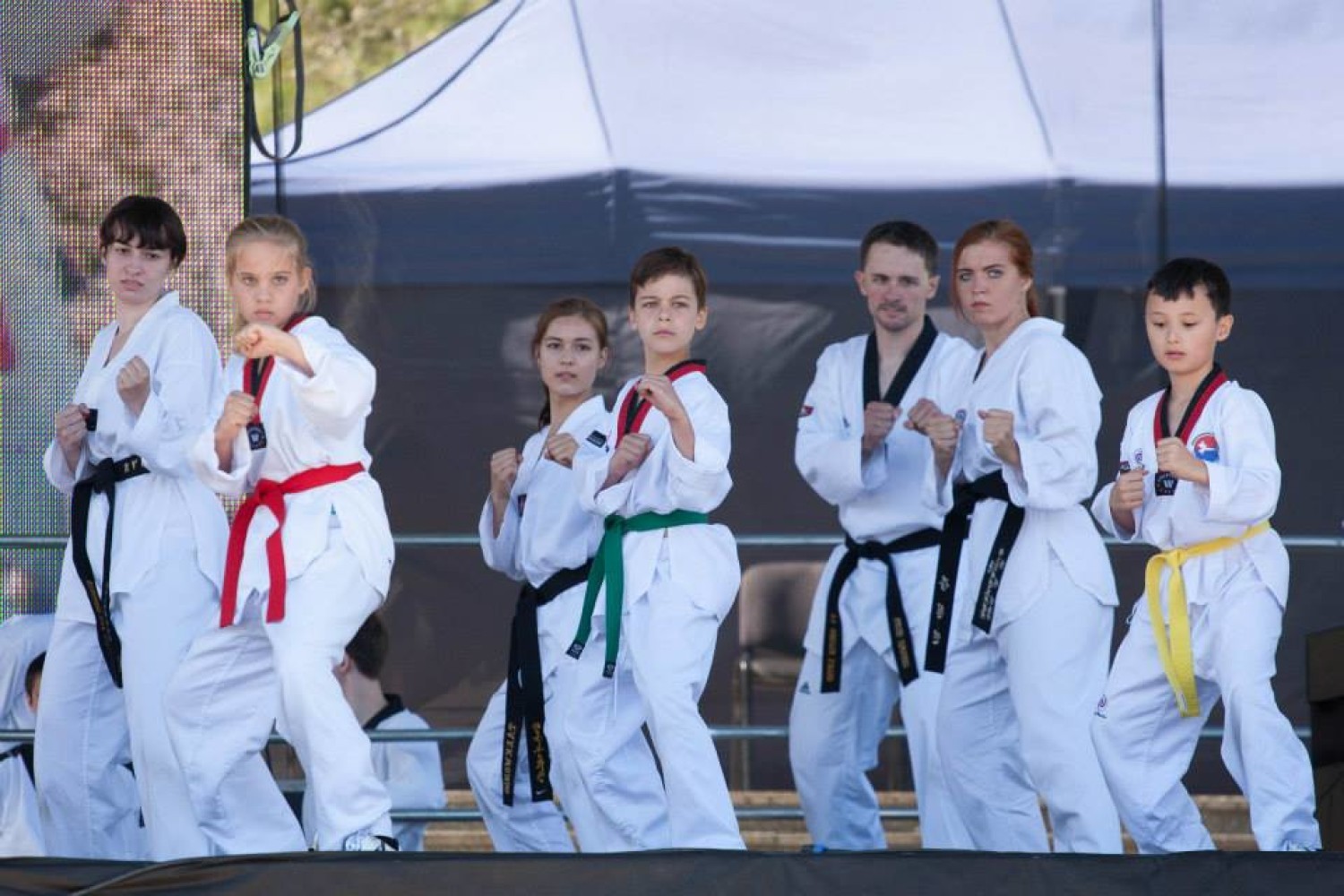Korea Festival 2015