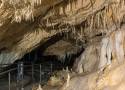 Jaskinia Niedźwiedzia w Kletnie to niezwykła atrakcja turystyczna na Dolnym Śląsku. Sprawdź cennik biletów, zasady zwiedzania