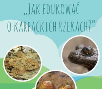 Bezpłatne szkolenie online pt. „Jak edukować o małopolskich rzekach?”