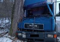 Zbyt szybka jazda ciężarówką skończyła się na drzewie