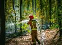 Pożary lasów w Małopolsce. Strażacy z powiatu olkuskiego mają ręce pełne roboty 