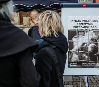 Wiadomości Bytom - NaszeMiasto.pl