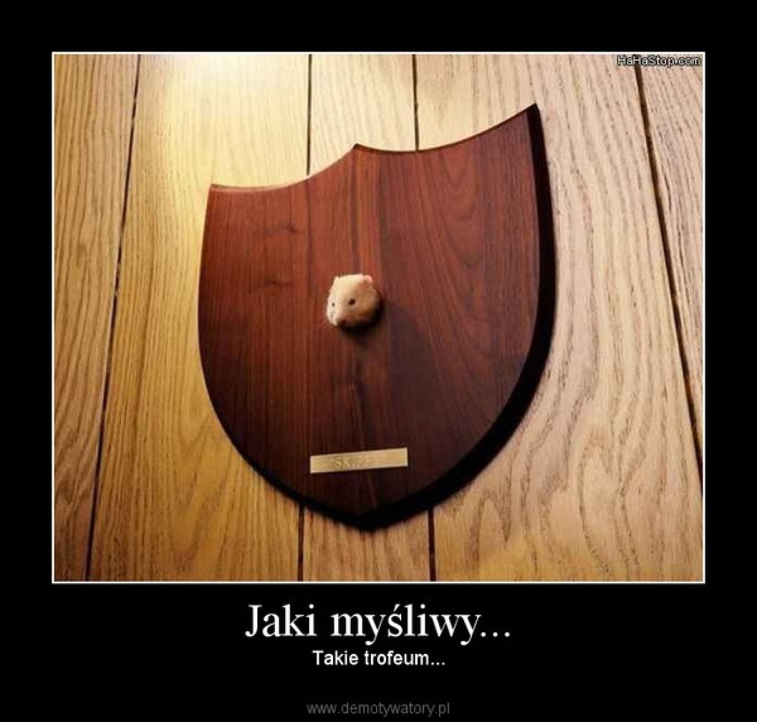 3 listopada - Dzień Myśliwych