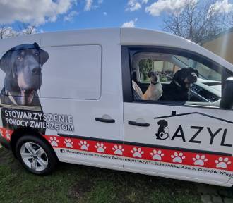 Azylobusik już w gorzowskim schronisku! Będzie pomagał ratować zwierzęta 