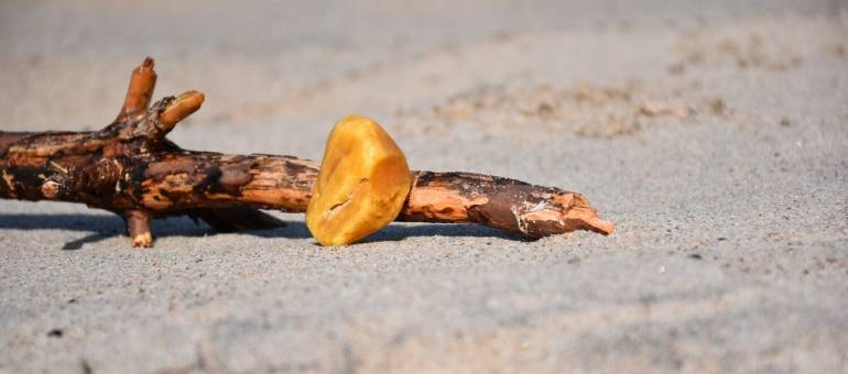 Zdjęcie artykułu z dnia 05-03-2026