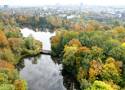 Oto najpiękniejsze parki i ogrody w Poznaniu. Tu odpoczniesz od zgiełku miasta!