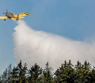 Pożar lasu w trudnym terenie. Strażacy z Wałbrzycha i samoloty w akcji 