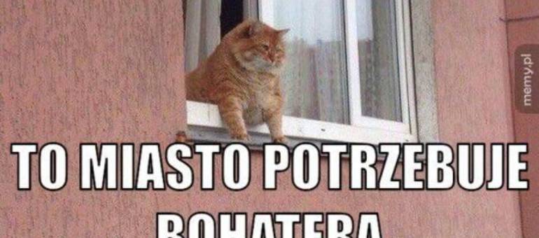 Zdjęcie artykułu z dnia 17-02-2026