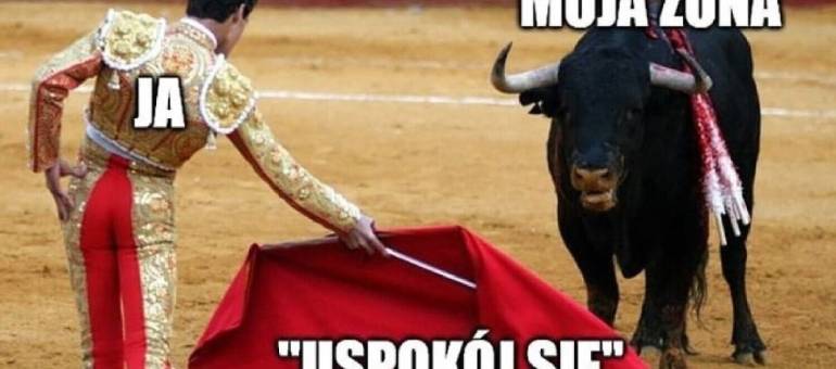 Zdjęcie artykułu z dnia 18-04-2026