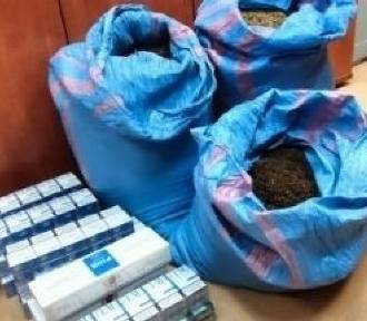 W garażu w Kielcach policjanci znaleźli tytoń bez akcyzy
