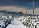 Zima w wielu rejonach Dolnego Śląska! Jeśli chcesz wyruszać na szlak, pamiętaj o odpowiednim sprzęcie i ubiorze