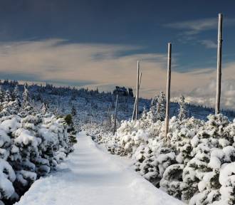 Nastała zima w wielu miejscach na Dolnym Śląsku. Zobacz, co trzeba wziąć na szlak