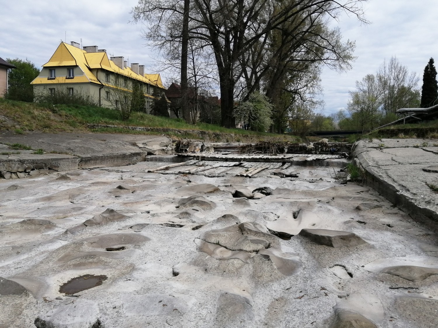 Wieprzówka w Andrychowie 26 kwietnia 2020 r