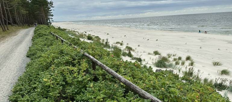 Zdjęcie artykułu z dnia 23-04-2026