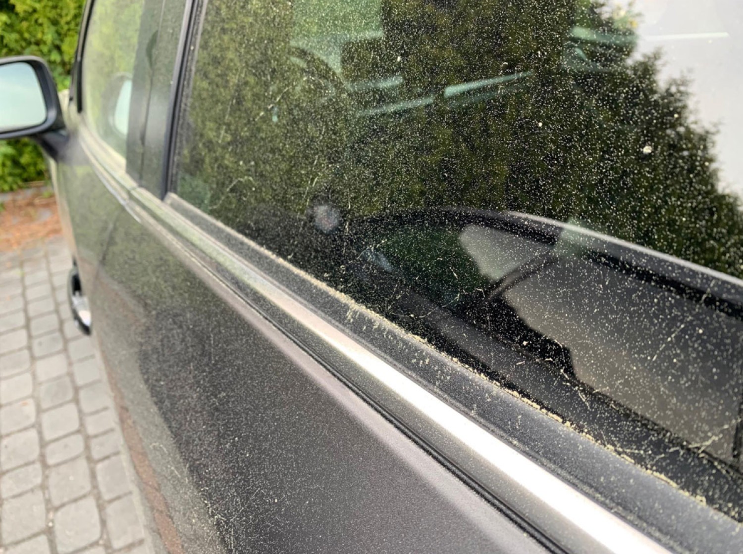 Żółty pył na samochodach - co to takiego?