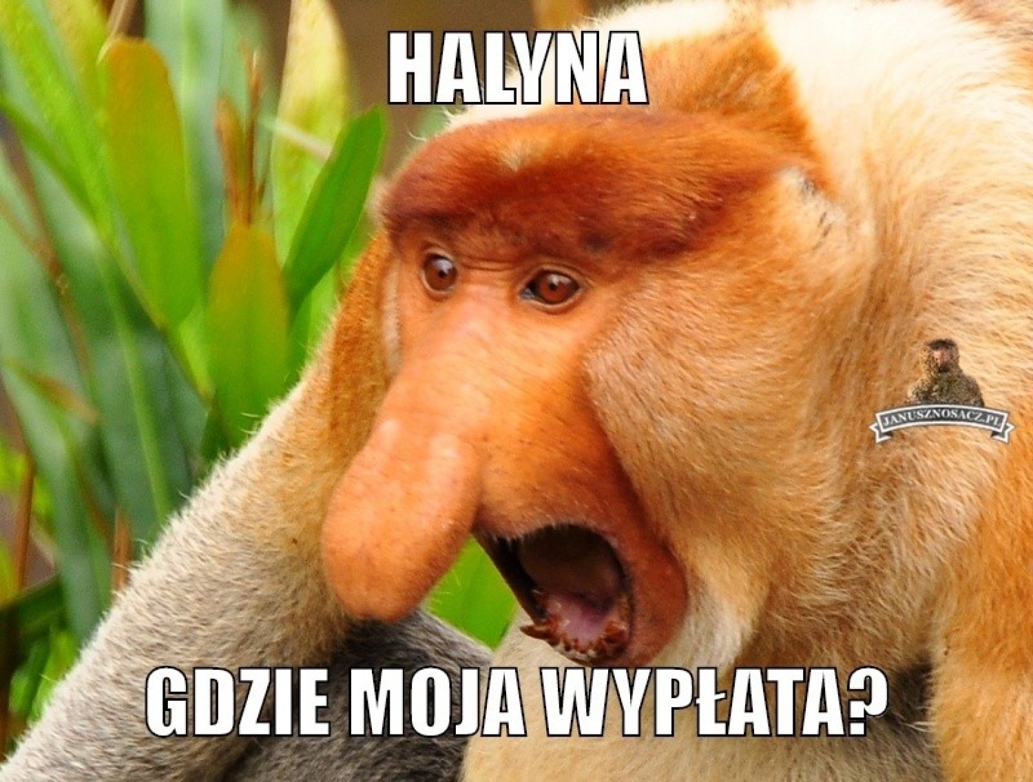 Jeśli zastanawiasz się, gdzie jest twoja wypłata - zobacz memy internautów, którzy mają ten sam problem