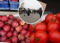 Ceny warzyw i owoców na targowisku Korej w Radomiu w czwartek 14 marca. Co i za ile można było kupić? Sprawdź
