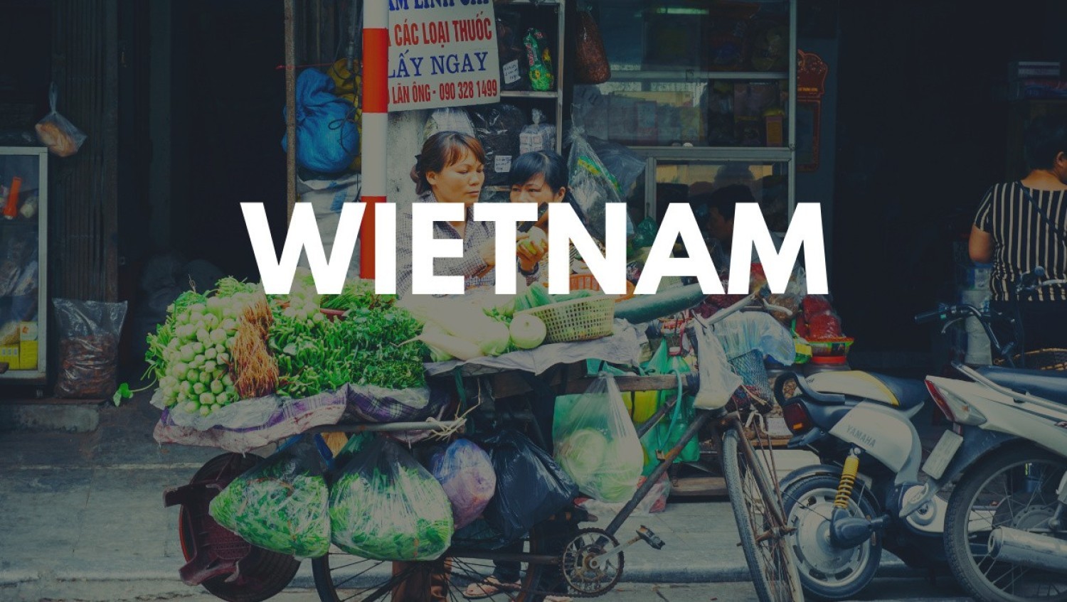13. Wietnam