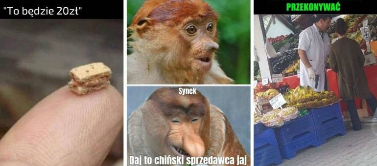 Zdjęcie artykułu z dnia 03-02-2026