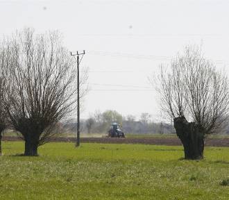 Już nie Raczki Elbląskie. Najniżej położony punkt w Polsce znajduje się na Pomorzu!