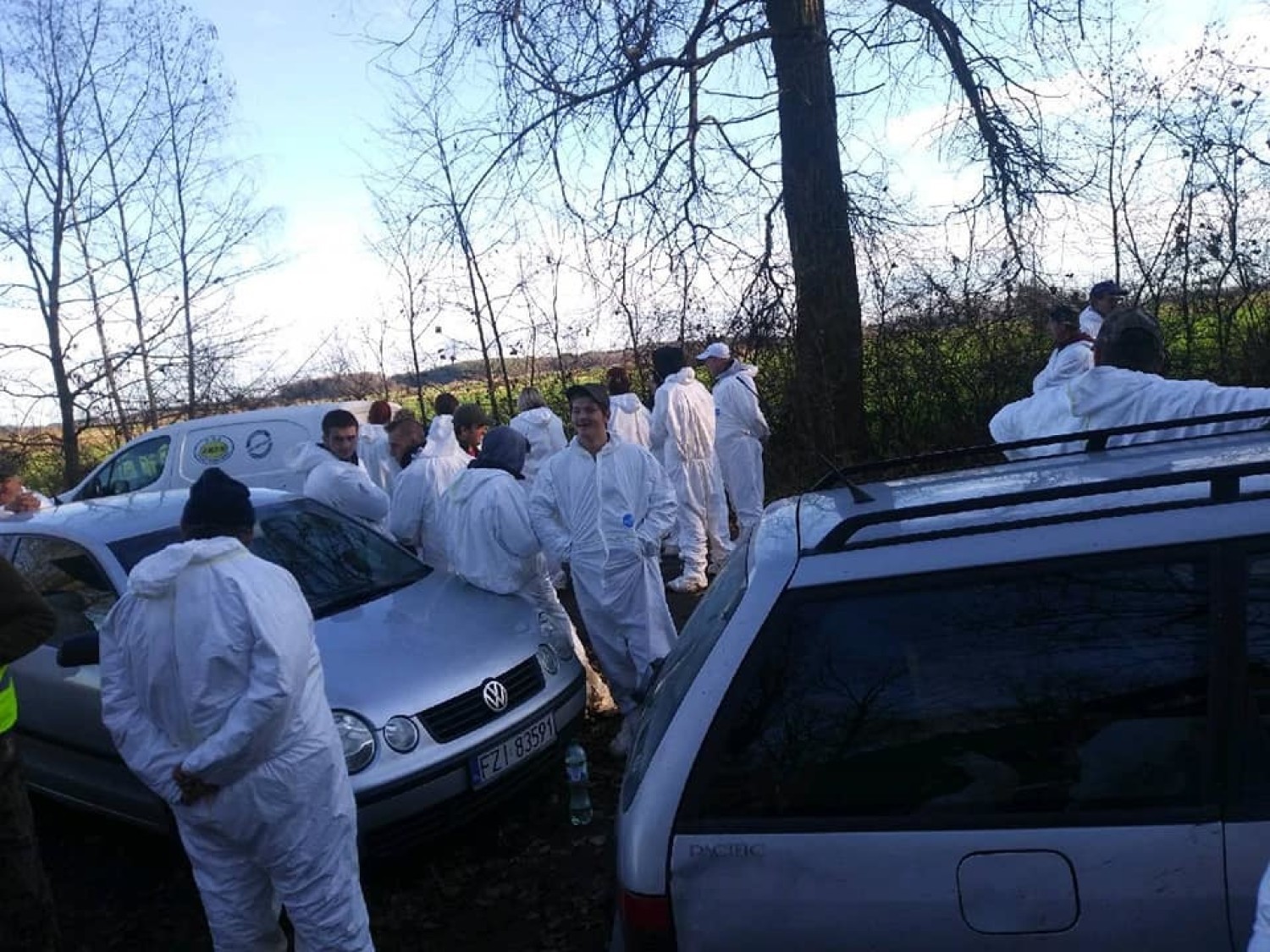 W lubuskich lasach trwają poszukiwania martwych dzików