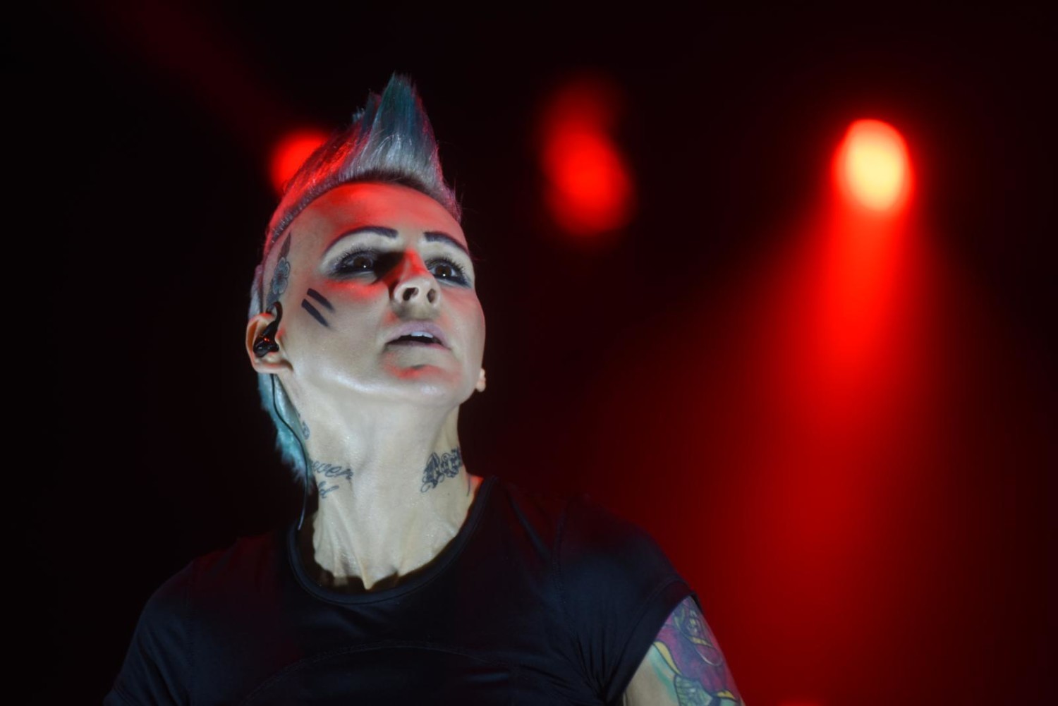 Pol'and'Rock 2019, artyści, zespoły. Agnieszka Chylińska